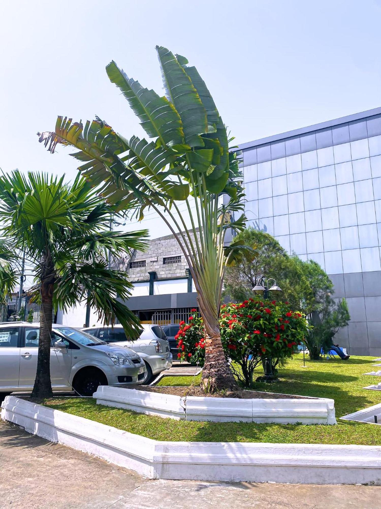 Hotel Vallee Des Princes Douala Kültér fotó